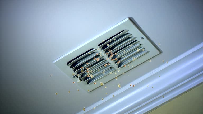 Best Residential Air Duct Cleaning  in Mount Arlington, NJ